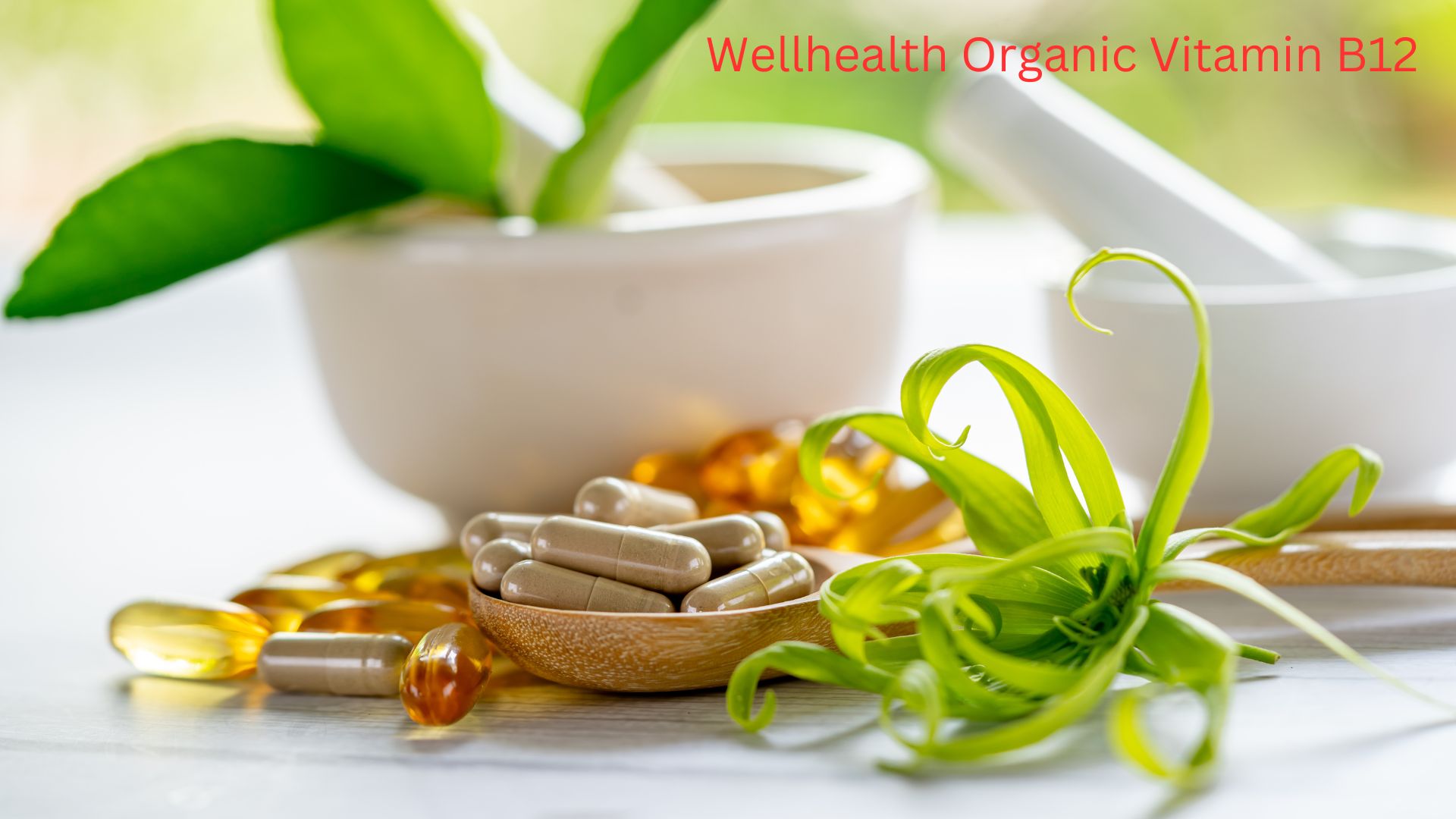 Unlocking the Secrets of Wellhealth Organic Vitamin B12: Your Guide to Optimal Wellness